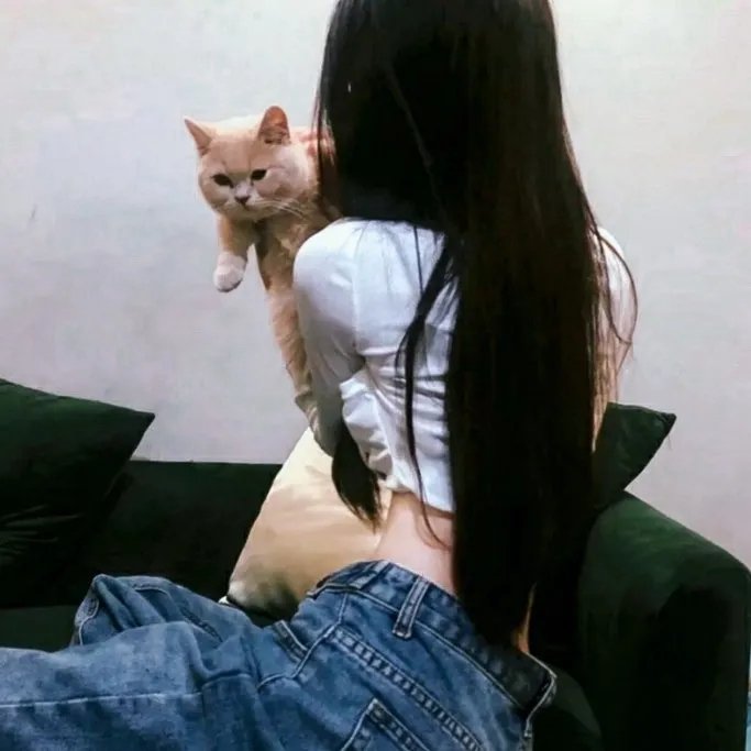 云雾之上